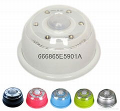 6LED AUTO PIR LED LIGHT