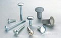 CARRIAGE BOLTS 1