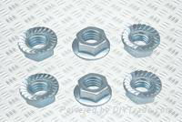 FLANGE NUTS