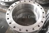 Flanges And Heavy Forgings From China  