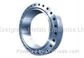 Flanges From China 