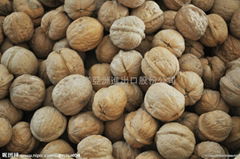 Walnut import clearance