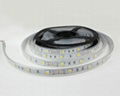 IP67 RGB Flexible LED strip light