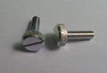  Slotted knurled screw