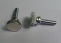  Slotted knurled screw