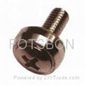 Crown screws standard, crown screw sizes, crown combination screw pictures