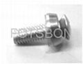 Crown screws standard, crown screw sizes, crown combination screw pictures