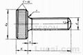 standard Knurling  flat  screw 