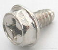 Crown Screw, Decorative Screws