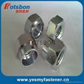 NZS-M4-2 FLARE-IN NUTS Stainless Steel Hexagonal