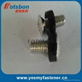 Crown Screw, Decorative Screws