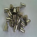 PILOT PINS pTPS