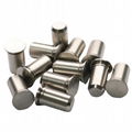 TPS-6MM-12Self-Clinching Pilot Pins Press In Fasteners Stainless Steel