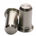 TPS-6MM-12Self-Clinching Pilot Pins Press In Fasteners Stainless Steel