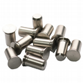TP4-5MM-16Pilot Pins Self-Clinching On Sheet Stainless416 Hardening