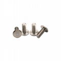 CHC-632-8Concealed Head Screws Self Tightening Studs Knurled