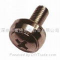 Crown Screw, Decorative Screws