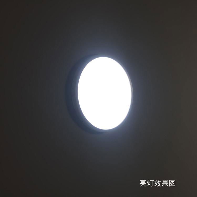 Modern Design 24W 400/600/780/1000MM Led White Panel Light 2