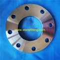 stainless steel plate flange