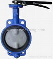 Butterfly Valve 1