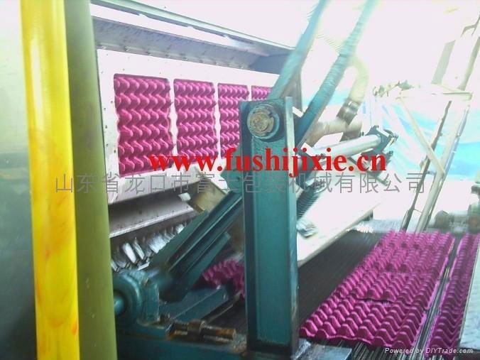 Paper Egg Tray Machine 4