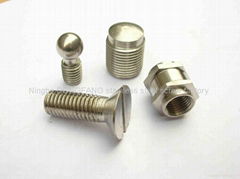 NingBo Beilun DaQi Orient Stainless Steel Screw Factory