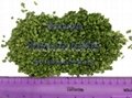 Direct buy China dried vegetables Dehydrated Chives Ring