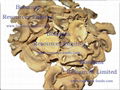 Golden Supplier dried vegetables price Freeze Dried Mushroom 3