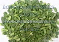 Bulk buy from China Freeze Dried Spinach Segment