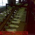 Latex Surgical Gloves Dipping Machines