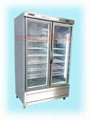 玻璃門冷凍風冷冰箱 4
