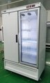 玻璃门冷冻风冷冰箱 5