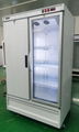 Up Display Freezer