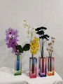 new style grade dyed colored acrylic  vase