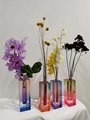 new style grade dyed colored acrylic  vase 2