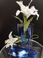 perpex glass vase acrylic vase