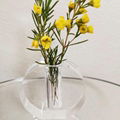 acrylic vase glass vase plexiglass vase