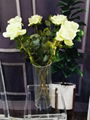 acrylic vase glass vase plexiglass vase