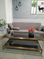 Stainless steel and Acrylic coffee table