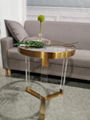 ACRYLIC ROUND SIDE TABLE， PLEXIGLASS SIDE TABLE， PERSPEX SIDE TABLE 4