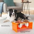 Raised Dog Food Bowl Acrylic Large Elevated Dog Water Bowl Feeder with Stand & B 6