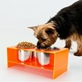 Raised Dog Food Bowl Acrylic Large Elevated Dog Water Bowl Feeder with Stand & B 7