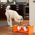 Raised Dog Food Bowl Acrylic Large Elevated Dog Water Bowl Feeder with Stand & B 13