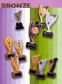 Star-Trophy.Star-Awards.Star-Medals.Star-Trophies.Star-Crystal.