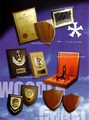Star-Trophy.Star-Awards.Star-Medals.Star-Trophies.Star-Crystal. 2