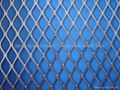 Decorative Anodize Aluminum Expanded Metal Mesh for curtain wall 3