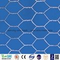 China supplier galvanized chicken wire mesh/PVC coated hexagonal wire mesh(facto