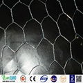 China supplier galvanized chicken wire mesh/PVC coated hexagonal wire mesh(facto 2