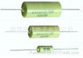 RX70 Precision wire wound resistor