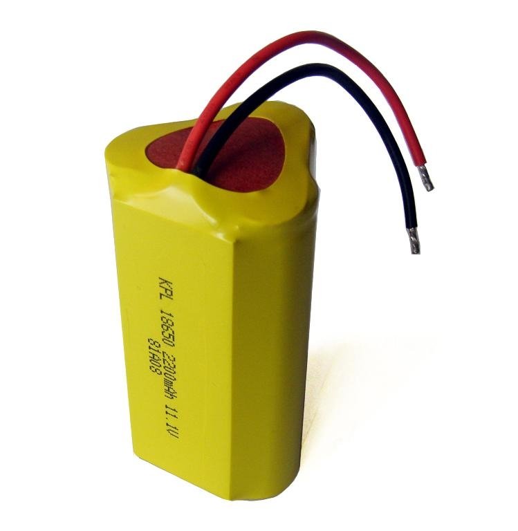 18650 Lithium Ion Battery Pack with 1800mAh Nominal Capacity  5